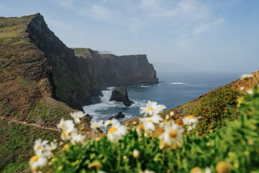 A landscape photo on the island of Madeira, Portugal looking out to sea.